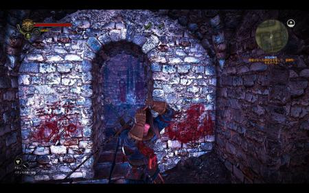 witcher2jp10.jpg
