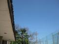 s-IMG_0977.jpg