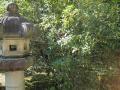s-IMG_0996.jpg