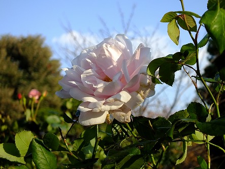 DSCF9715.jpg