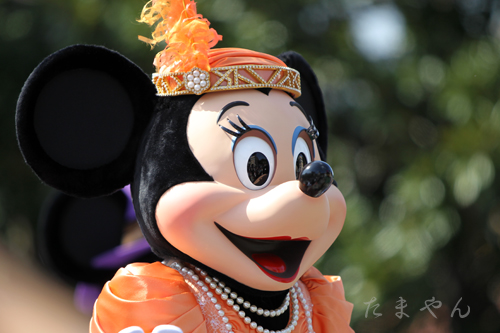 A67W5302.jpg