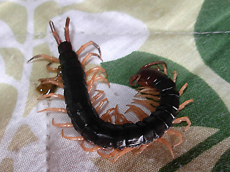 DSCN9074.jpg