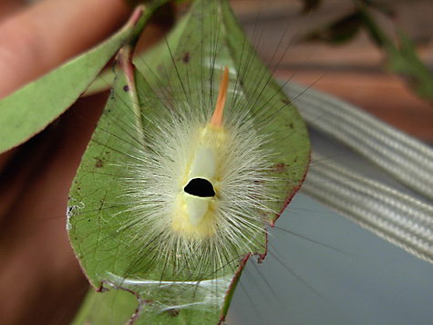 DSCN9079.jpg