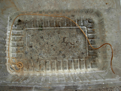 DSCN9093.jpg
