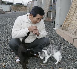 北國新聞 門前の仮設住宅の猫