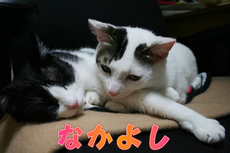 らーぶらーぶ