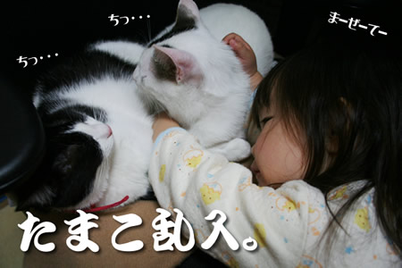 邪魔をっし~な・い・で~え~