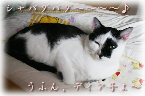 ウインクもしちゃうわよ