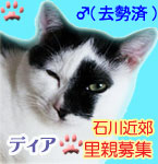 ディア子よ~ん