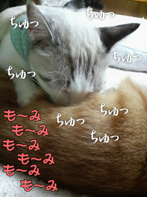 夢中で・・・