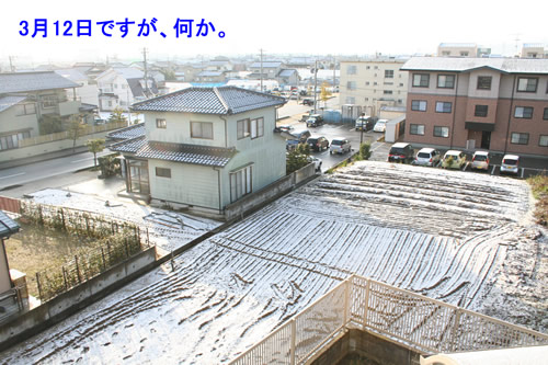 朝起きたら、外が白かった。