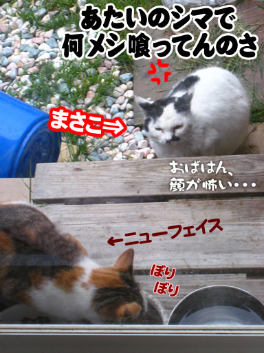 まさこ・・・コワいよ・・・