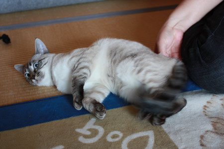 ああん・・・