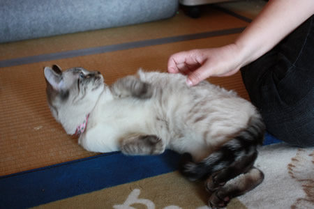 いやあん・・・