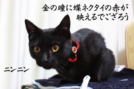 忍だってもてたいもん!