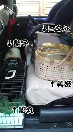 壊れたキャリーも大活躍