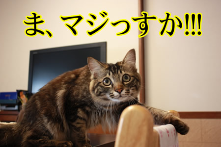 桃も驚愕の安さ
