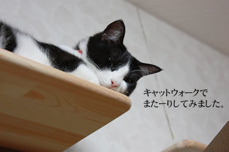 またーり・・・