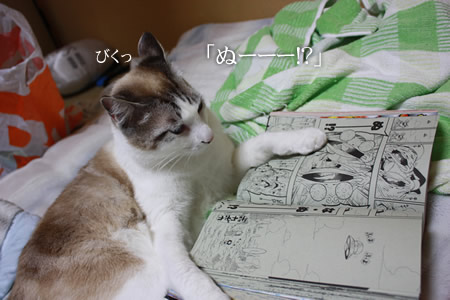 コロコロ読んでると、わくわくするんだ