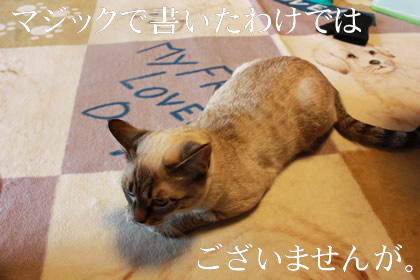 タトゥーなの?