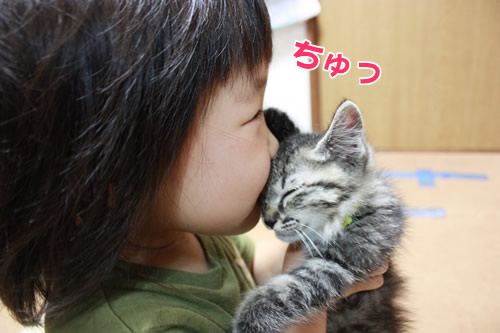たまことなずなちゃん
