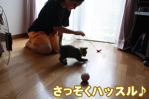 遊んでくれる人みんないいひと。