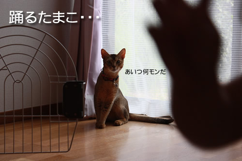 怪しい人影。