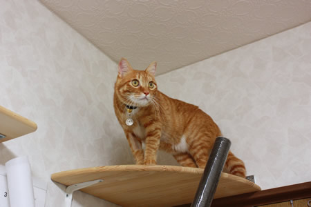 キャットウォークの▲コーナーにて