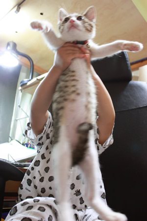 高い高い高ーい
