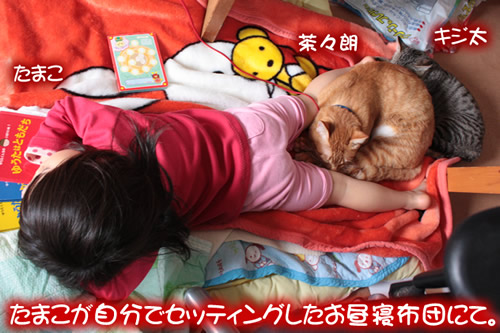 仲良くお昼寝