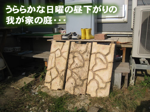 我が家の庭。