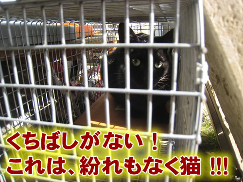 ま、まさかおまえは・・・!!!