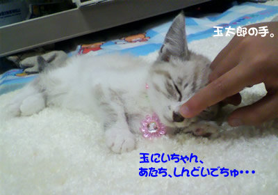 しんどそうな沙羅ちゃん