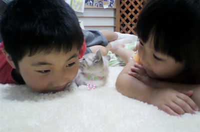子供たちはおかまいなし・・・