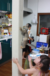 垂直ですが