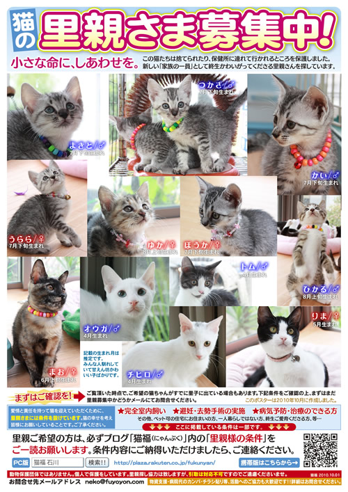 臨時里親募集チラシ
