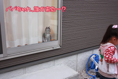 ほうかお出迎え