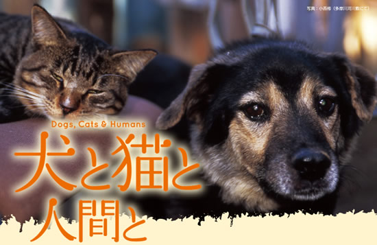 映画「犬と猫と人間と」
