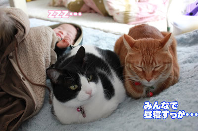 後輩寝てる間は平和だな・・・