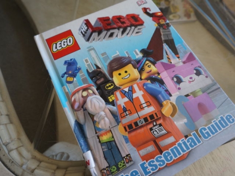 100214006.jpg