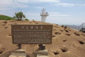 TFblog_sunliner2_006.jpg