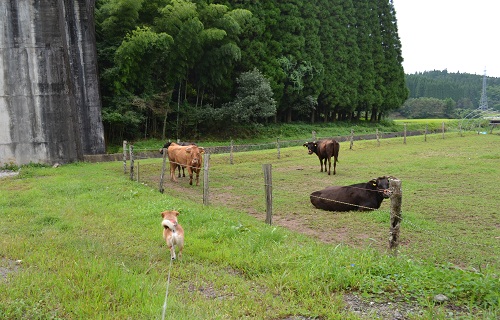 3_20110912214551.jpg