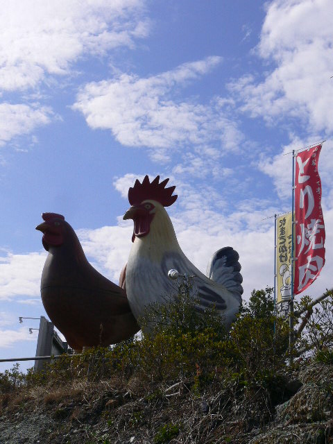 P1070705.JPG