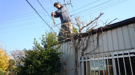 空いた時間で・・・! ~~~ヾ(〃^∇^)o キャー!ファイトォー!!