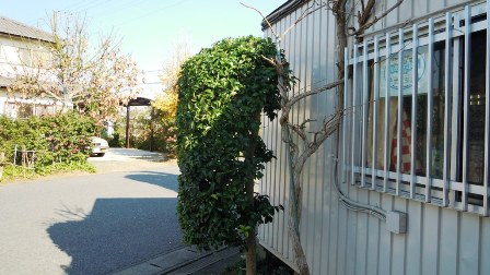 空いた時間で・・・! ~~~ヾ(〃^∇^)o キャー!ファイトォー!!