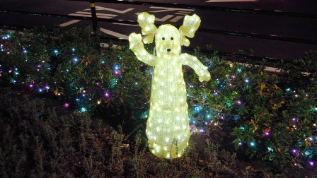 夜のイルミネーション! ((( 8-(* ̄∇ ̄)ノ”やぁ~