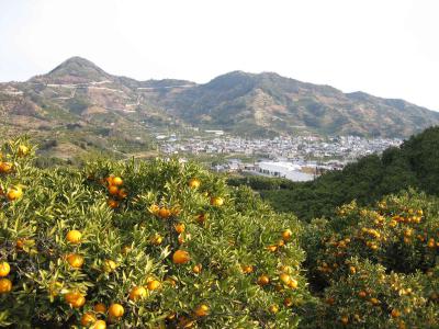 中島園地風景1
