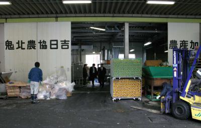 日吉村1