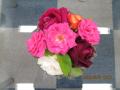大きな薔薇!