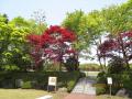 富士桜自然墓地公園